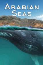 Watch Arabian Seas 123movies