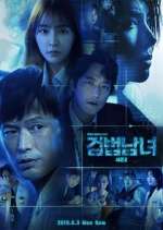 Watch Investigation Couple 123movies