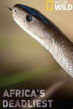 Watch Africas Deadliest 123movies