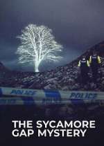 the sycamore gap tree mystery tv poster