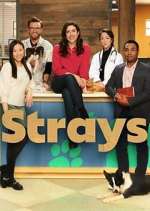 Watch Strays 123movies