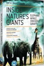 Watch Inside Nature's Giants 123movies