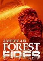 Watch American Forest Fires: The Untold Story 123movies