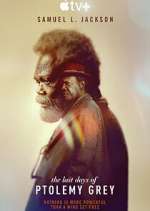 Watch The Last Days of Ptolemy Grey 123movies