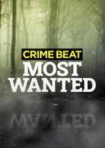 Watch Crime Beat: Most Wanted 123movies
