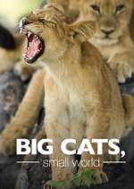 Watch Big Cats, Small World 123movies